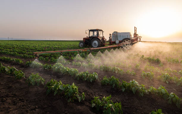 Best Ant Control Services  in West Plains, MO